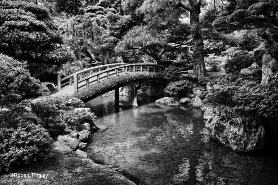 Kyoto 4564 BW